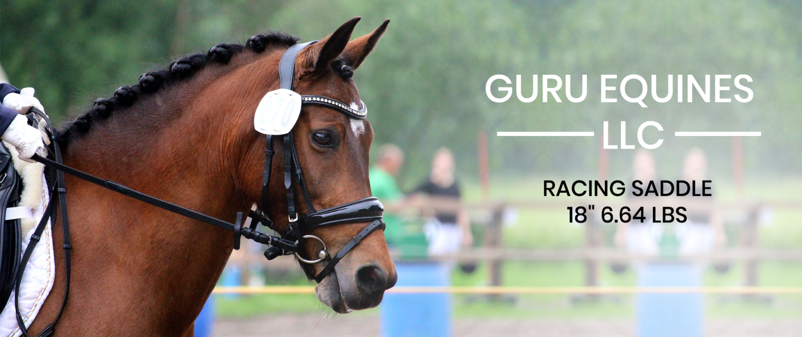GURU EQUINES